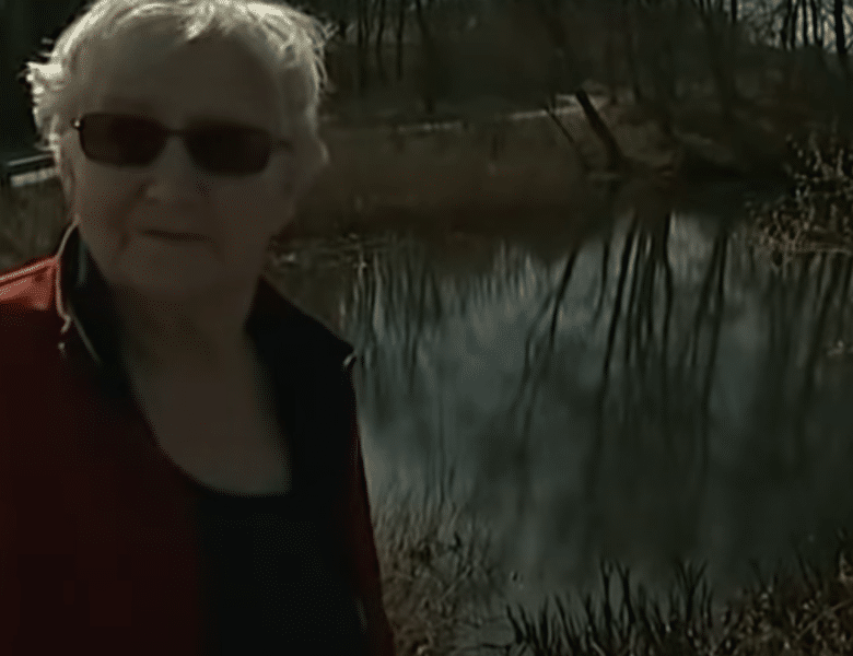 Sjov video: Bævere ødelægger Gerdas sø!