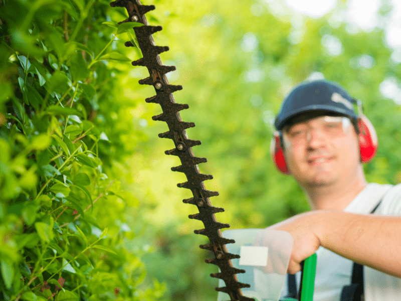 Hækkeklipper bedst i test – Find den bedste hækkeklipper